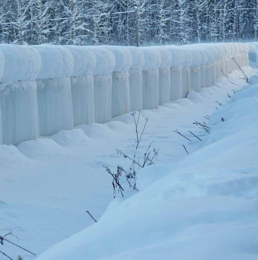 Eläinten hyvinvointikorvauksen hakuaika on tammikuussa. Sitä voi hakea myöhästyneenä 25 päivän ajan, mutta korvaukseen tulee vähennystä 1 % joka päivä. Sitoumusaika on 1.1. 31.