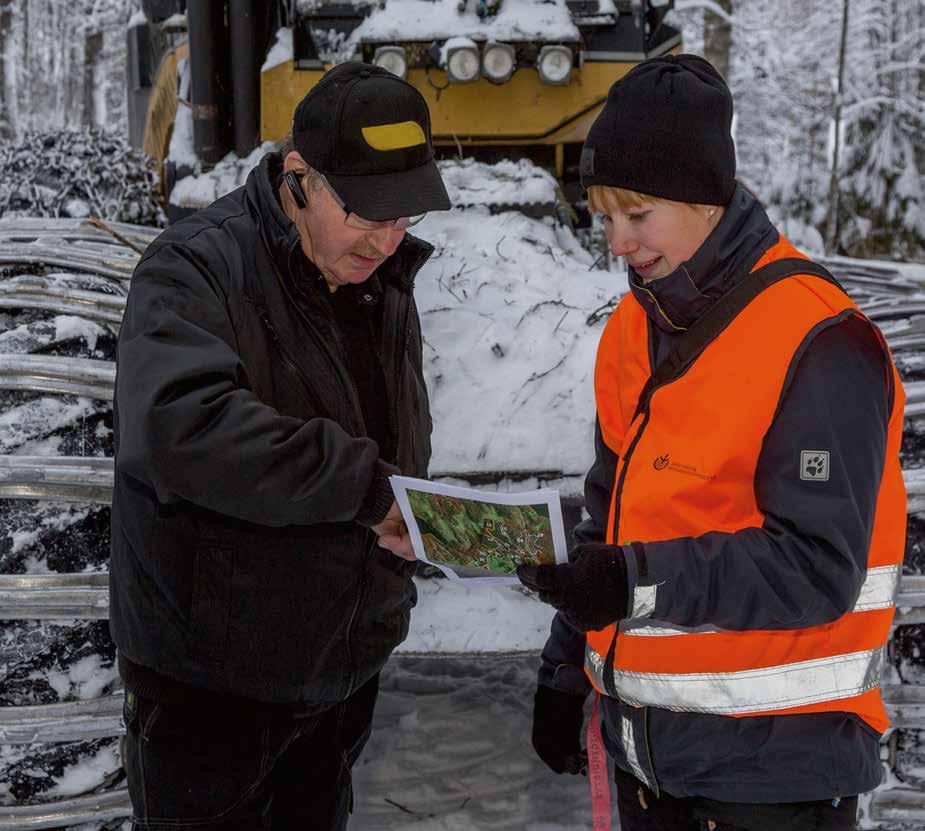Maaliskuussa haetaan kotieläinten pohjoista tukea.