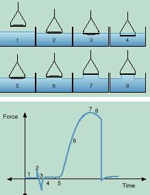 Kuva 2. Pintajännityksen mittaus du Noüy n tensiometrillä (Moodle: Extrat, Surface in Interfacial Tension). 1. Laite nollataan renkaan ollessa pinnan yläpuolella. 2. Rengas koskettaa pintaa.