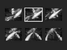 Kuvavalinnan näyttö - Frame selection screen Kun asetus marked-frames (valitut kuvat) valitaan valikosta, kuvavalinnan näyttö ilmestyy näkyville. Näytössä voi valita useita kuvia. :move :sel.