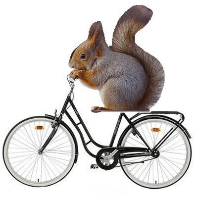 Luovuutta voivat estää väheksyvä ympäristö suvaitsematon ilmapiiri leikkimielisyyden ja huumorin
