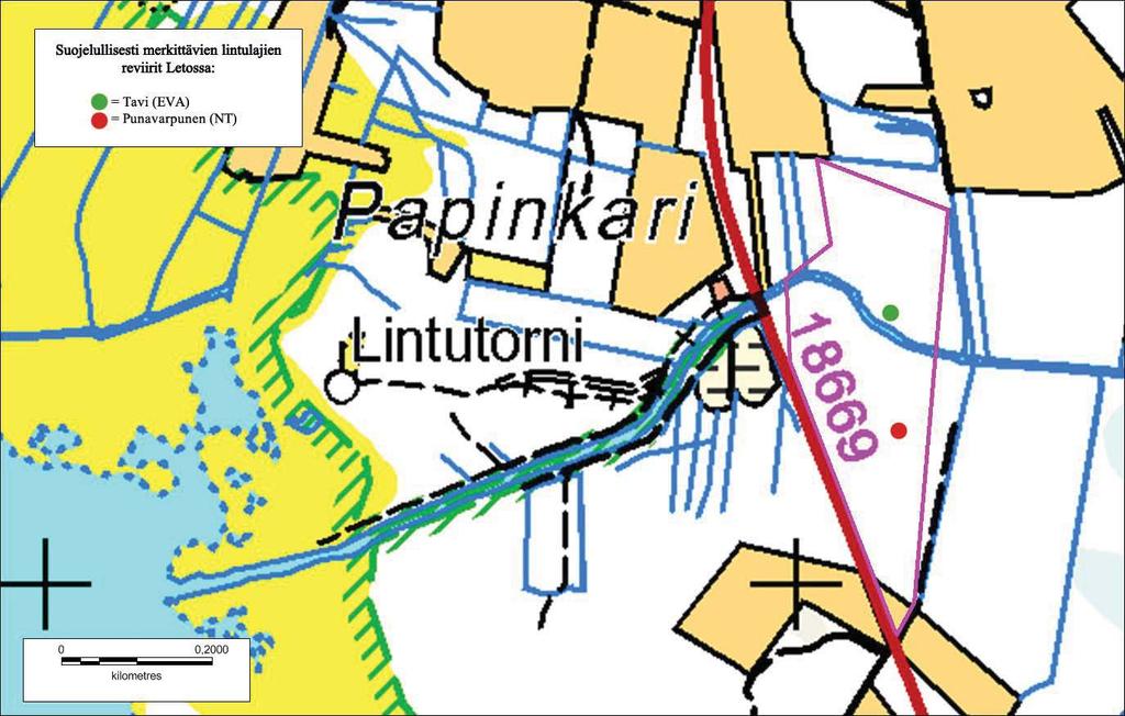 8 Taulukko 3. Leton 22.5.2013 kartoituslaskennassa havaittujen lintujen parimäärät ja suojelupistearvot (Asanti ym. 2003).