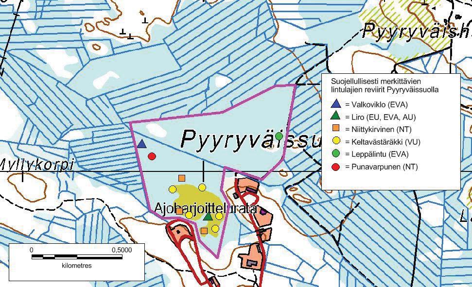 20 Laji EU Suomi EVA AU Taulukko 8. Pyyryväissuon kartoituslaskennassa 26.5.2013 havaittujen lintujen parimäärät ja suojelupistearvot (Asanti ym. 2003).