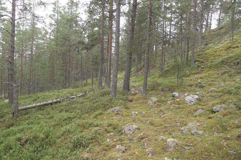 Ylijäämaita suunnitellaan sijoitettavan Ruhtelinharjun itäpuolella sijaitseviin vanhoihin maa-ainesten ottoalueisiin.