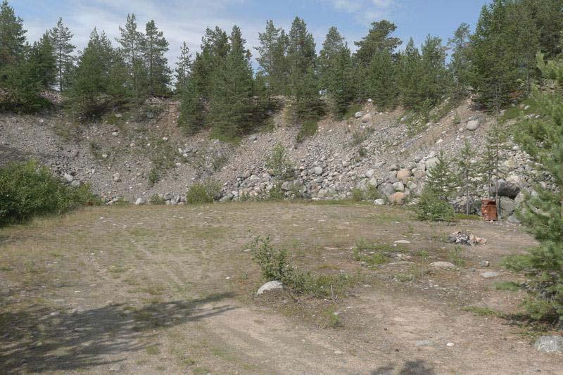 siellä kasvaa kolme näyttävää noin 200 vuotta vanhaa mänty-yksilöä. Kuva 31.