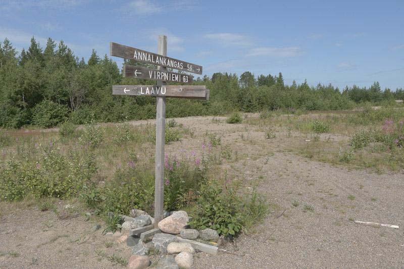 Muuta lajistoa on metsätähti, metsäimarre, metsälauha, puolukka, lehtotesma, mustaherukka, metsäalvejuuri, kultapiisku ja puna-ailakki. Kuva 34.