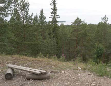 Lisäksi harjulla on laavu ja näköalapaikka, josta näkyy metsän yli merellinen maisema. Kuva 36. Retkeilyreitti, laavu sekä näköalapaikka Runtelinharjulla. 3.9 