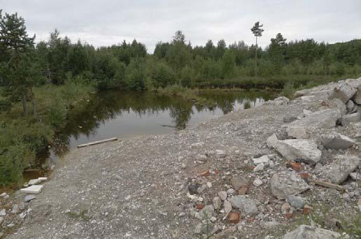 luontotyyppejä, metsälain 10 :n tarkoittamia erityisen tärkeitä elinympäristöjä, eikä vesilain 2. luvun 11 :n kohteita.
