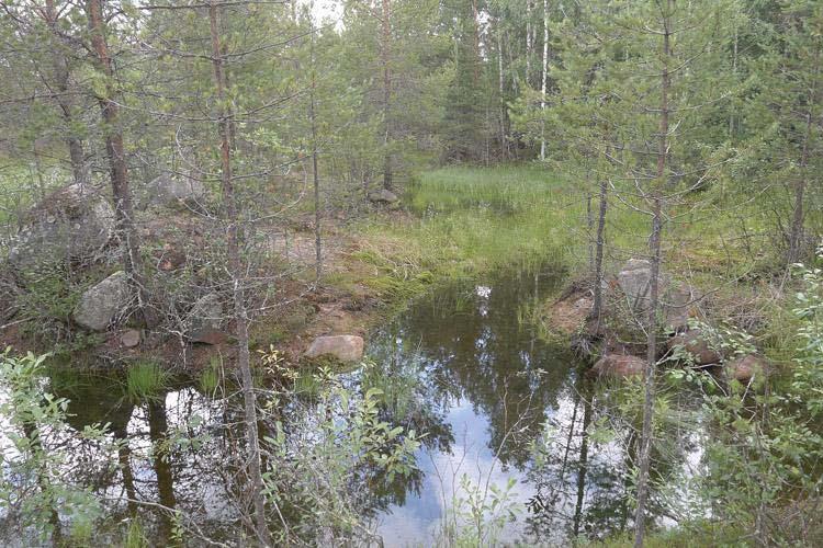 3 3. TULOKSET 3.1 Korkiamaa Korkiamaan suunniteltu Oulun kaupungin ylijäämämaiden sijoitusalue (pinta-ala noin 3,4 ha) sijaitsee noin 6 km Yli-Iin keskustasta itään.