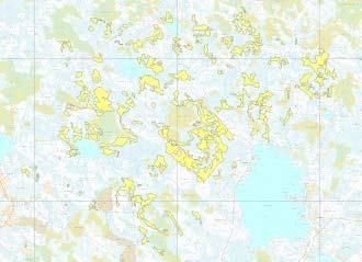 kuin ennallistamisella Intensiivinen metsänkasvatus (skenaario 3) heikentää suolajiston esiintymistodennäköisyyttä Turvetuotannon jälkeen suokasvilajistoa voi hyvinkin palautua