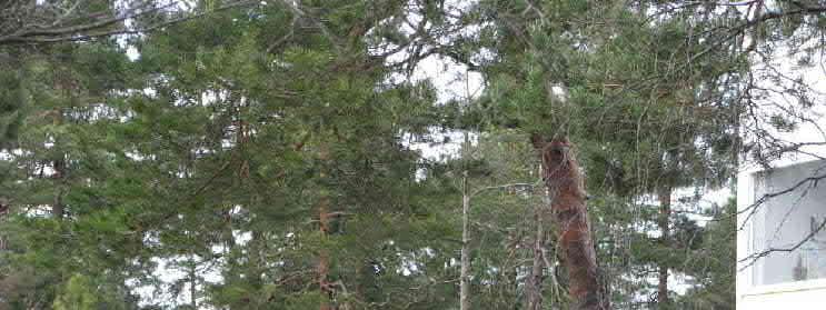 RYHMÄTYÖSKENTELY Jakaudutaan viiteen ryhmään On hyvä, jos ryhmässäsi on sellaisia