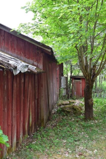Katot ovat vielä kunnostettavissa, joskin on epävarmaa, jatkuuko rakennuksen