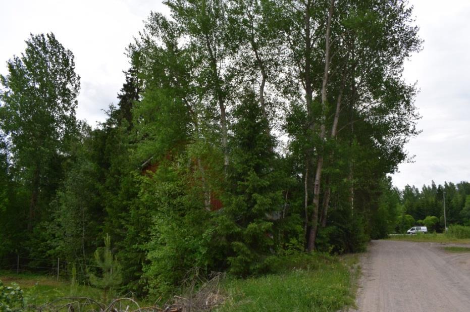 Palikkalan työväenyhdistyksen rakennuksen ja viereisen maatilan rakennusten yhteys on ajallinen, maaseudun perinteistä rakennustapaa toteuttava. Kuvat.