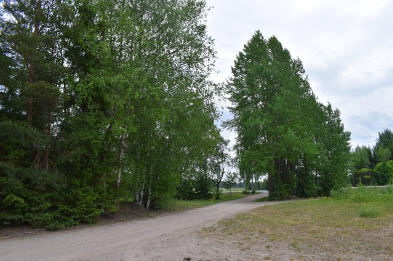 Kuvat. Kai Tolonen 2018.
