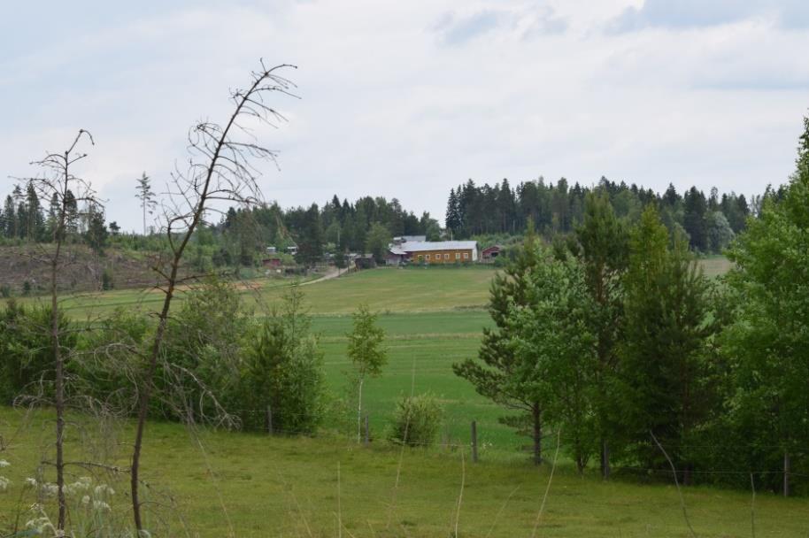 sisääntulo-osan liitos (lounaaseen).