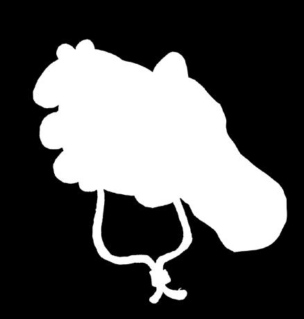 Lähettäjällä on oikeus opetuksellisista syistä joustaa tästä säännöstä esimerkiksi horjumisten yhteydessä. 8.