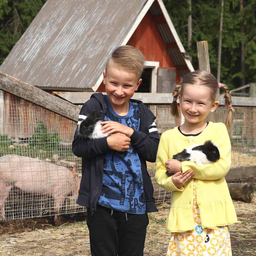 Loimaa on HYVINVOIVAA Hyvinvoinnin visio: Loimaalla voidaan hyvin. Kehitämme laadukkaita peruspalveluitamme jatkuvasti.