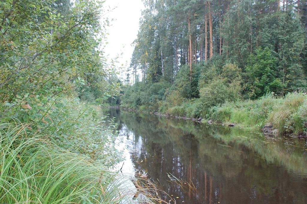 SIIKAINEN