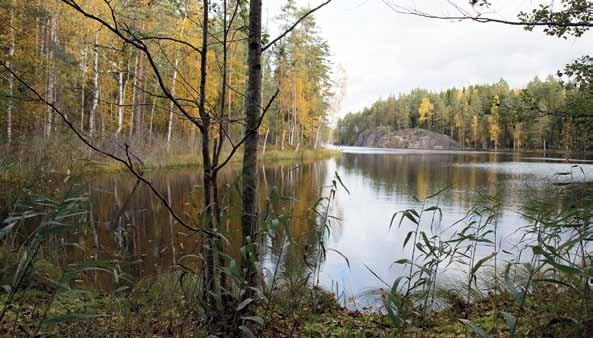 Pitkälampi > Jylhiä kallioita ja luonnon rauhaa Erämaamainen Pitkälampi on metsien kätkössä piilevä aarre, viimeinen etappi ennen saapumista pohjoisen suunnasta Repoveden kansallispuistoon johtavalle