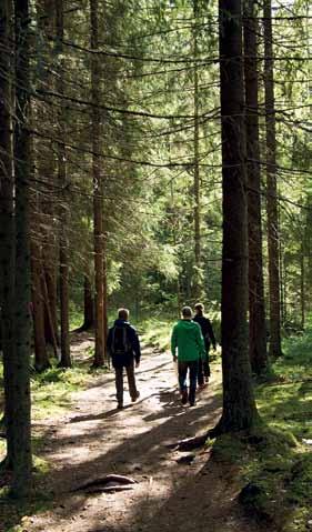 Lapinsalmen sisäänkäynti 1,8 km yhteen suuntaan Reitille on helpointa lähteä Lapinsalmen parkkipaikalta pelastustietä Kapiaveden rantaan, josta polku jatkuu oikealle.