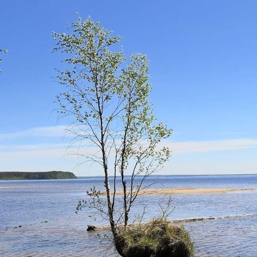 Huolehdi päivärytmistä