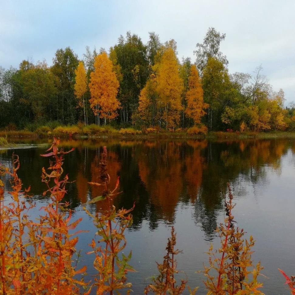 Lepää,