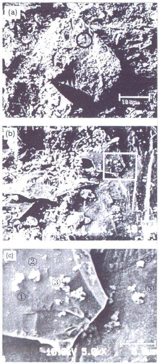 Mineraalien pinnat vaahdotuksessa (Smart 1991) Pyyhkäisy-Auger-mikroskooppikuvia rikki- ja kuparikiisun pinnoista Hydrofobisten ja hydrofiilisten komponenttien suhteellinen määrä mineraalirakeen 1 2