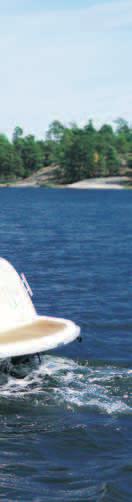 MerCruiser MPI, V6
