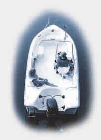 n. 480 kg