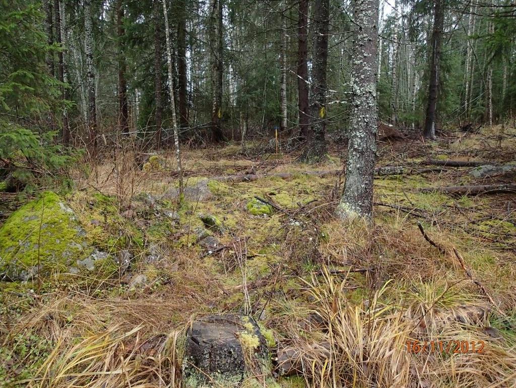 Asuinpaikka jää kuvan ulkopuolelle oikealle.