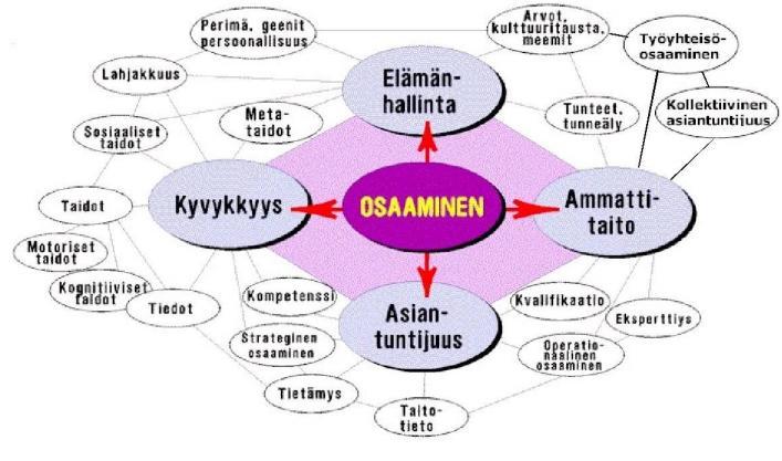 11 Kuvo 2 Osaamsen ja ammatttadon kästtestöä ja yhteyksä (Helakorp, 2010) Kuvossa 2 Helakorp kuvaa osaamsen ja ammatttadon kästteellstä monnasuutta.