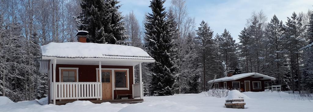 TULEVAA TOIMINTAA 24. 25.2.2018 Rakenna ja Asu-messut, Kuopio-halli Talkooväkeä tarvitaan, ota yhteyttä Rainer Mikkoseen, 050 917 4448. 28.2.2018 Energiatehokkuusasetuksen muutokset ja energiatodistuksen uudet laskentaohjeet RKL-RIA-kurssi Tekun auditoriossa klo 9 16.