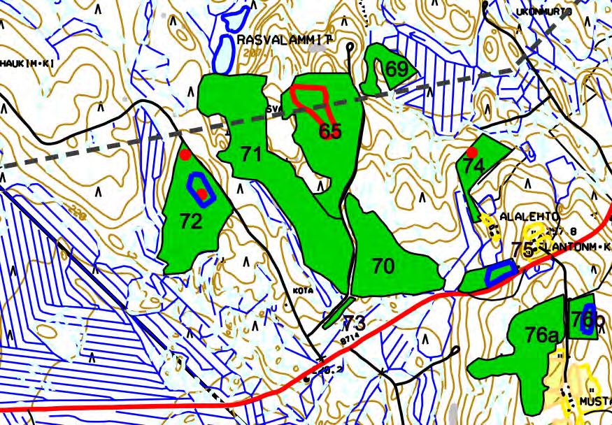 YMPÄRISTÖVAIKUTUSTEN ARVIOINTISELOSTUS 101 11.4.