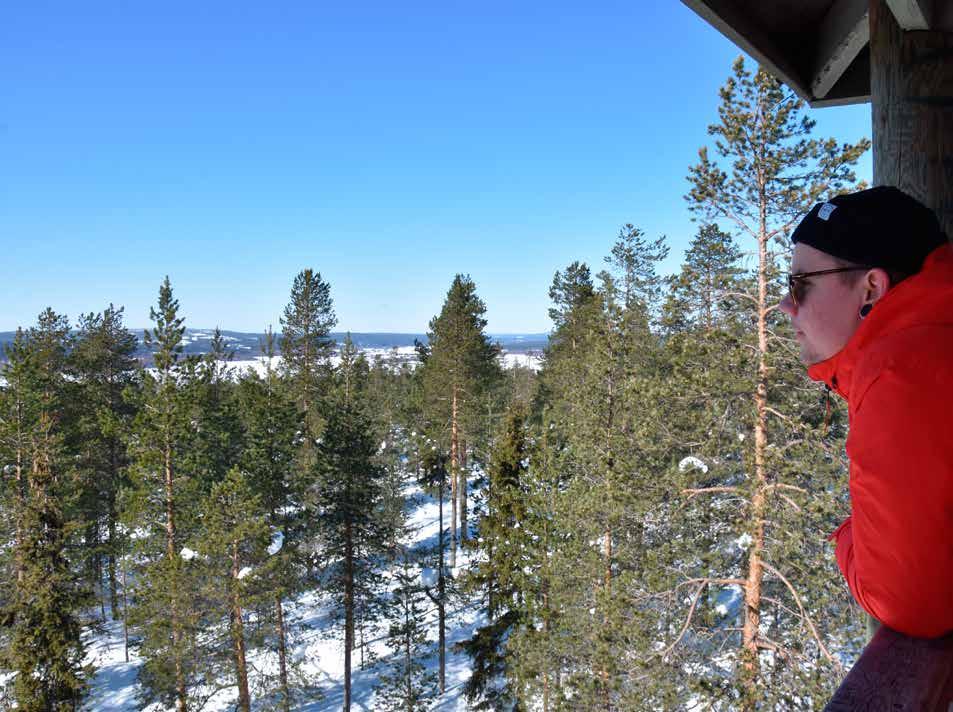 Rollo Rovis Roi Rovaniemi Rovaniemi sopii niin bilettäjille, luontoihmisille, taiteilijasieluille, kulttuurin harrastajille kuin urheilijoillekin. Tekemistä riittää kaikille.