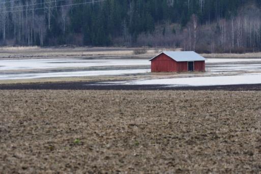 Lepsämänjoki -kaivuutöiden vaikutus Lepsämänjoen yläosan uoma kaivettiin mittausasemalta alavirtaan 2011 talvella Kaivuu mittausasemalta