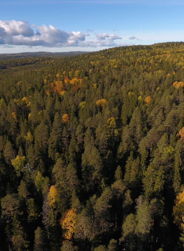 Itä-Suomen yliopisto,