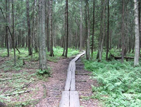 luonnonsuojelualueet. Haltialan metsäalue on yhtenäinen, pääosin kuusivaltainen metsä, jossa on runsaasti kasvillisuuden korkeusvaihtelua, kosteita painanteita, ojia ja puroja.