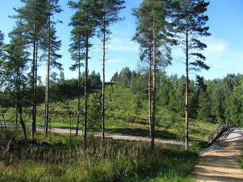 Suunnittelualueelta on tunnistettu useita arvokkaita kasvi- ja kääpäkohteita, lintu-, lepakko- sekä matelija- ja sammakkoeläinkohteita ja liito-oravan ydinalueita.