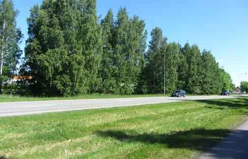 Valon ja varjon kontrasti pellon ja metsän reuna-alueella tarjoaa kulkijalle esteettistä nautintoa. Liikenneväylien suojavihervyöhykkeiden merkitys on laaja.