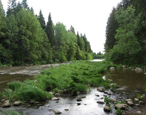 Vantaanjoen Pitkäkoski.