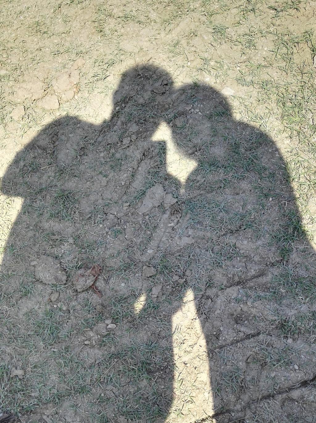 18. 25.11.