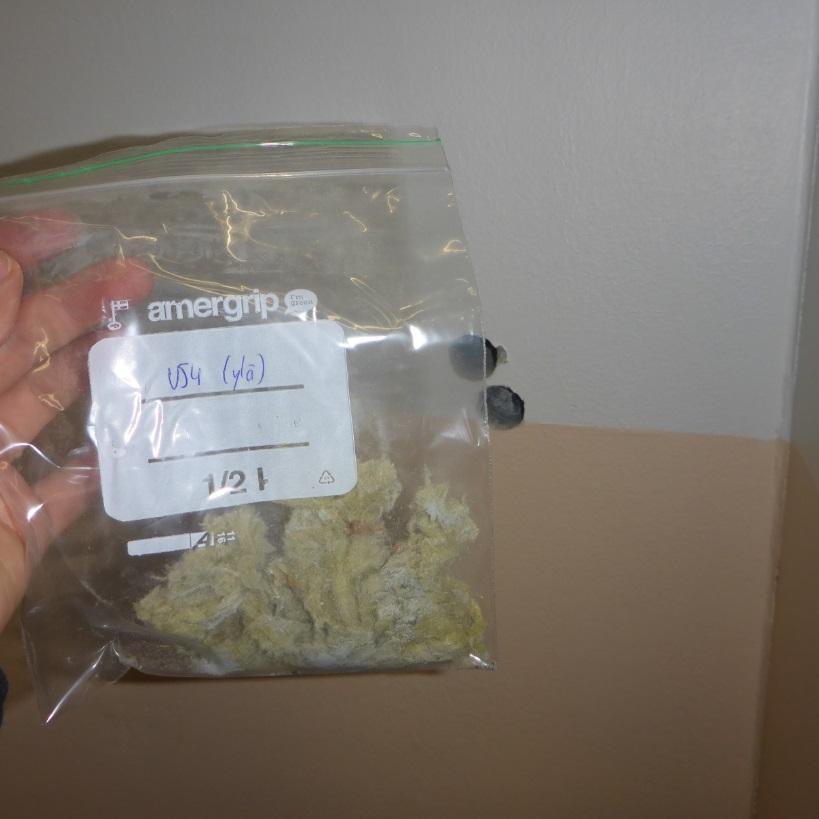 Materiaalinäytteiden näytteenottopaikat on esitetty liitteessä 1. Materiaalinäytteiden mikrobianalyysit suoritettiin Mikrobioni Oy:n toimesta.