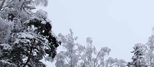 KERRO MULLE, MITÄ JOULU ON Sunnuntaina 2.12. klo 18-19.30 Meilahden kirkossa Jouluajan avajaiskonsertti 1. adventtisunnuntaina. Esiintyjinä Jenni Taari, laulu ja Noora Oinasmaa, piano. Vapaa pääsy.