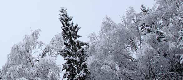KIRKOT JA TOIMIPISTEET Töölön seurakuntatoimisto Mechelininkatu 32 a B, 00260 Helsinki p. 09 2340 6300 (toolo.srk@evl.