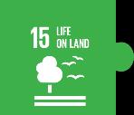ympäristön kannalta kestävällä tavalla ja poistetaan äärimmäinen köyhyys maailmasta. Metsästrategia toteuttaa metsiin liittyviä Agenda 2030 -tavoitteita kansallisella, EU- ja kansainvälisellä tasolla.