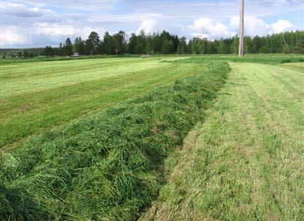 Merkitys ravinteiden kierrätykselle Photo: Arja Seppälä Hyvin suunniteltu biokaasun tuotanto voi