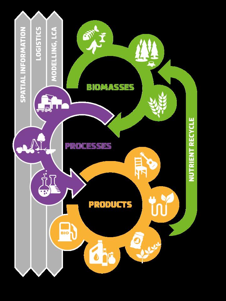 Biomassan prosessointivaihtoehtoja Forest side-streams and orga