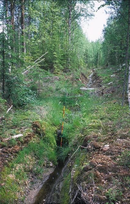 Kosteikko Kosteikko on alue, joka pysyy kosteana tai märkänä ympäri vuoden. Luontaisia kosteikkojen paikkoja ovat vesistöjen laskun tuloksena syntyneet vesijättöalueet.