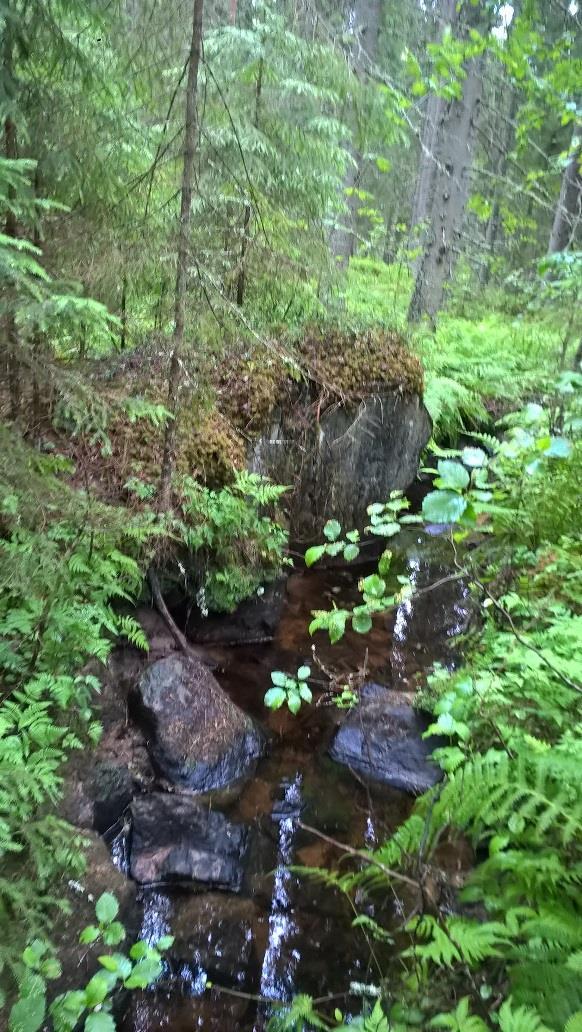 Havaintopiste 3 Kuvaus Tien ali kulkeva, järveen laskeva oja.