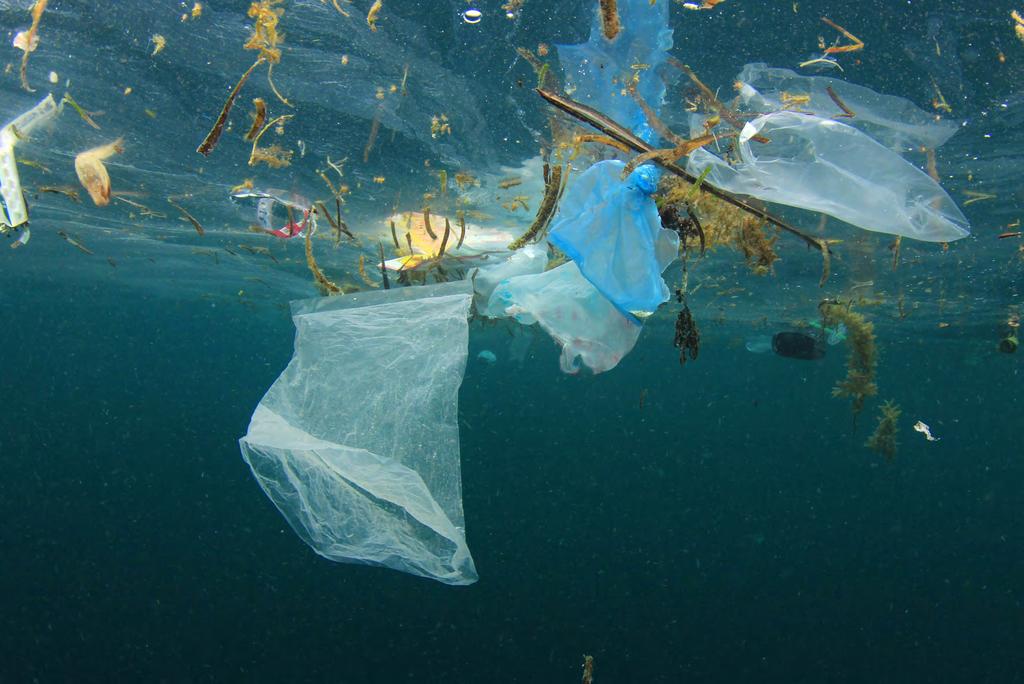 SHUTTERSTOCK / RICH CAREY / WWF Muovipullo voi kellua Itämeressä jopa 450 vuotta Suurin osa Itämeren muoviroskasta tulee maalta.
